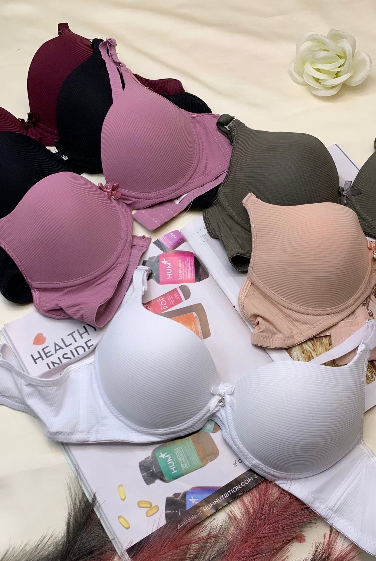Daily Wear Bras